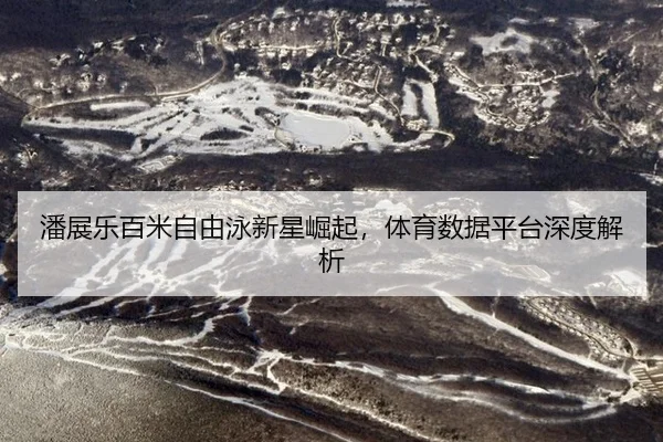 潘展乐百米自由泳新星崛起，体育数据平台深度解析